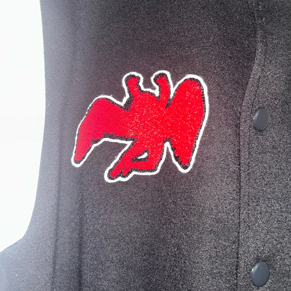 Led Zeppelin Embroidered Varsity Jacket - Picture 3 of 7
